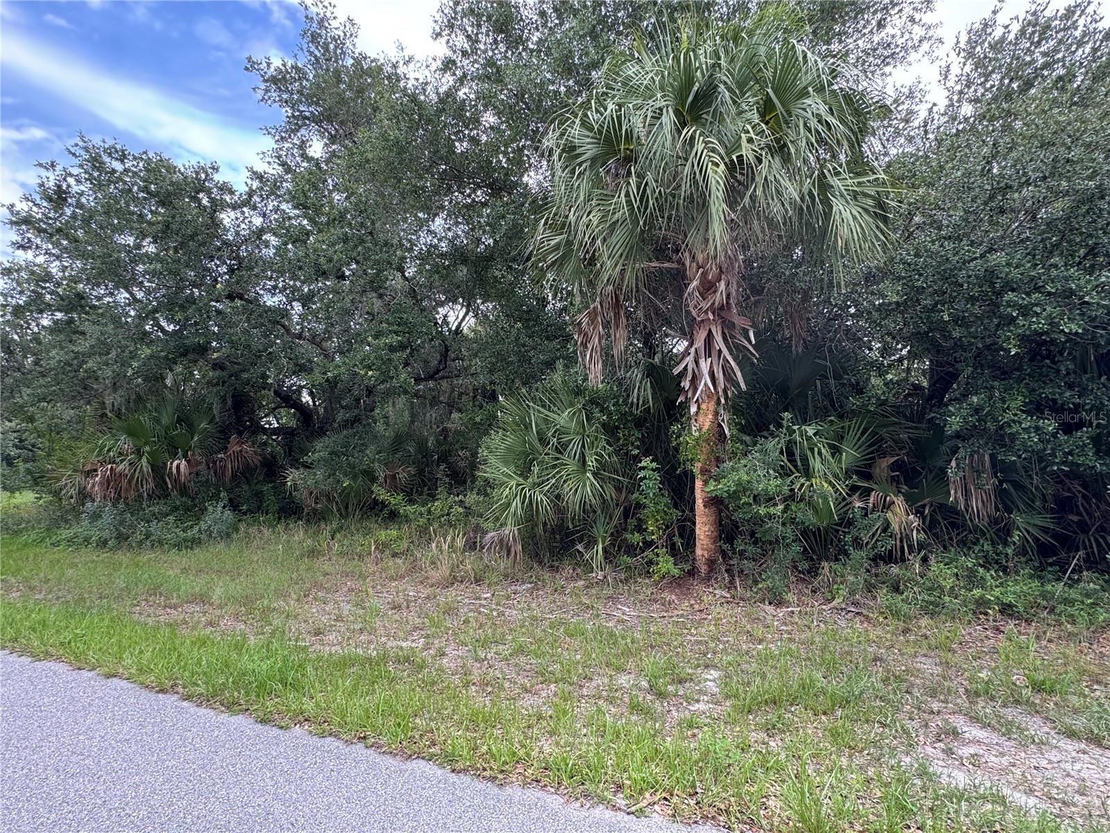 318 Leona St, Port Charlotte, FL 33954