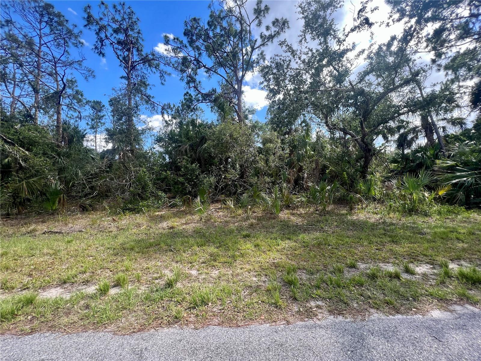 Vizza Ln, North Port, FL 34286