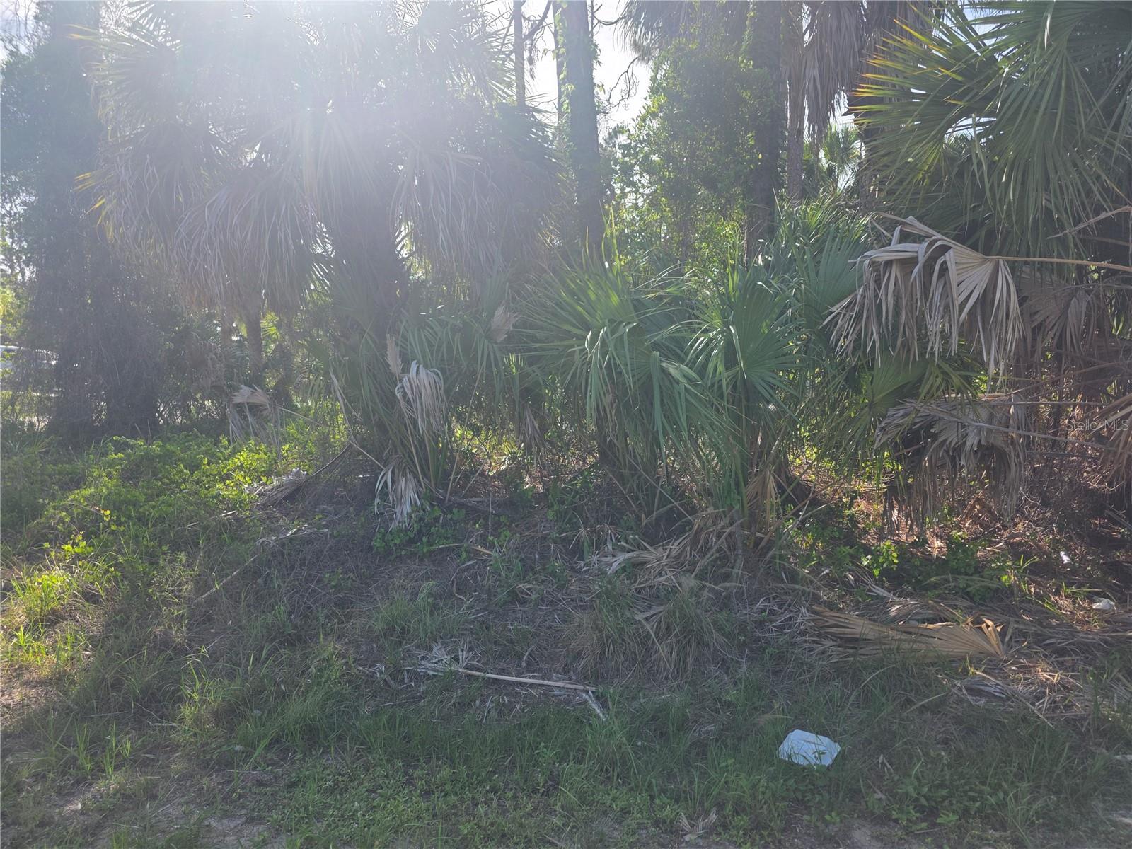 Prime Ter, North Port, FL 34286