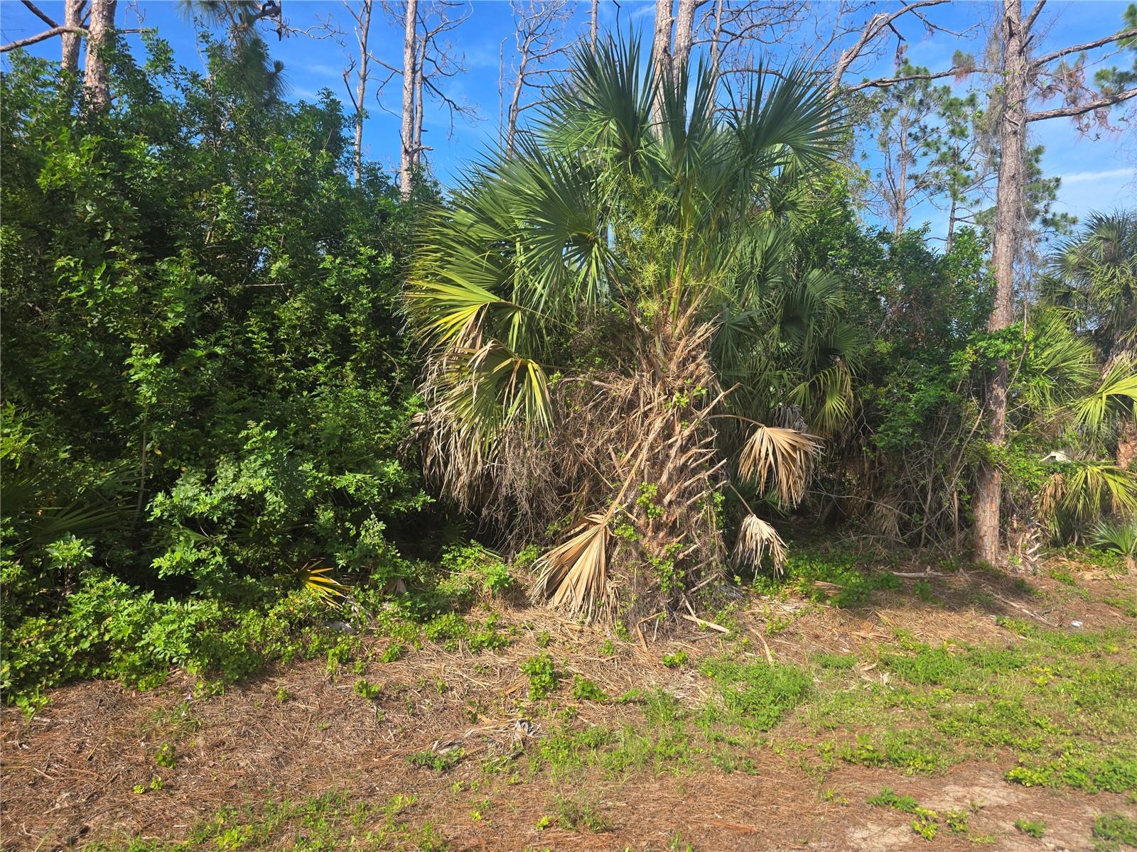 Pronto Ln, North Port, FL 34286