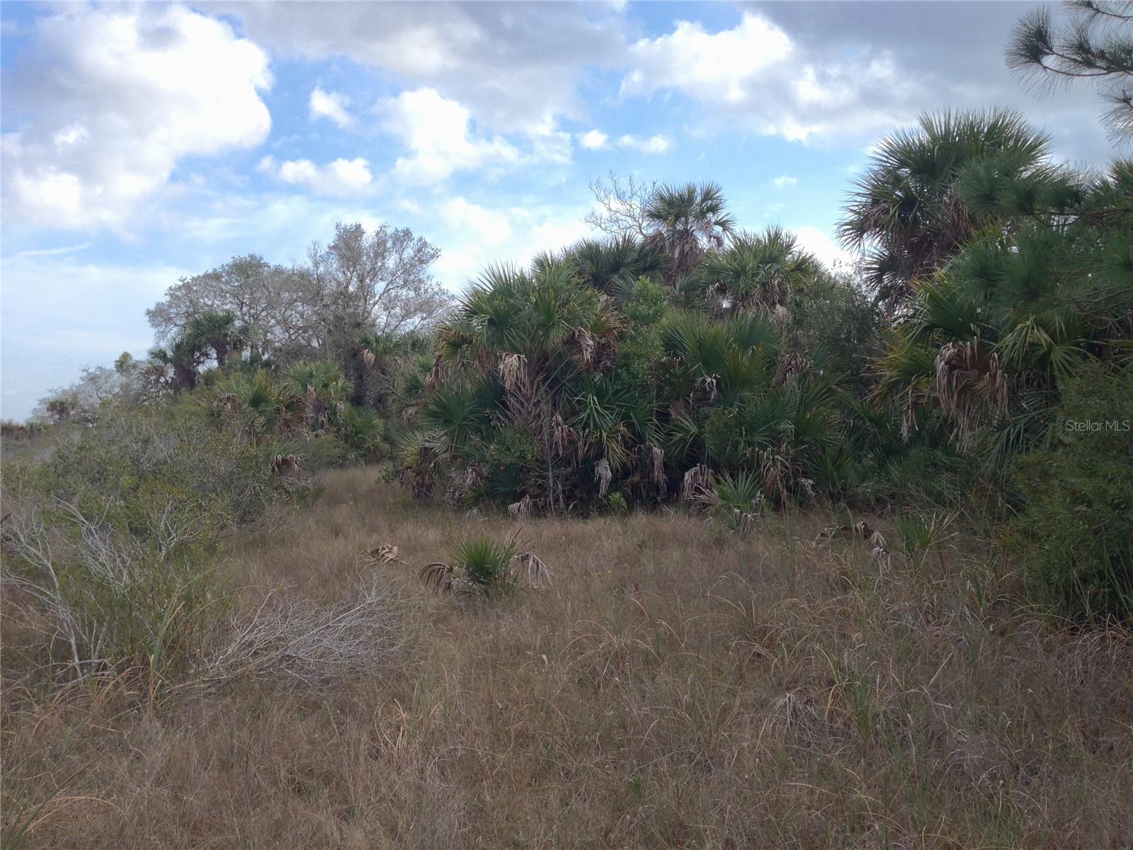 50670 Bermont Rd, Punta Gorda, FL 33982