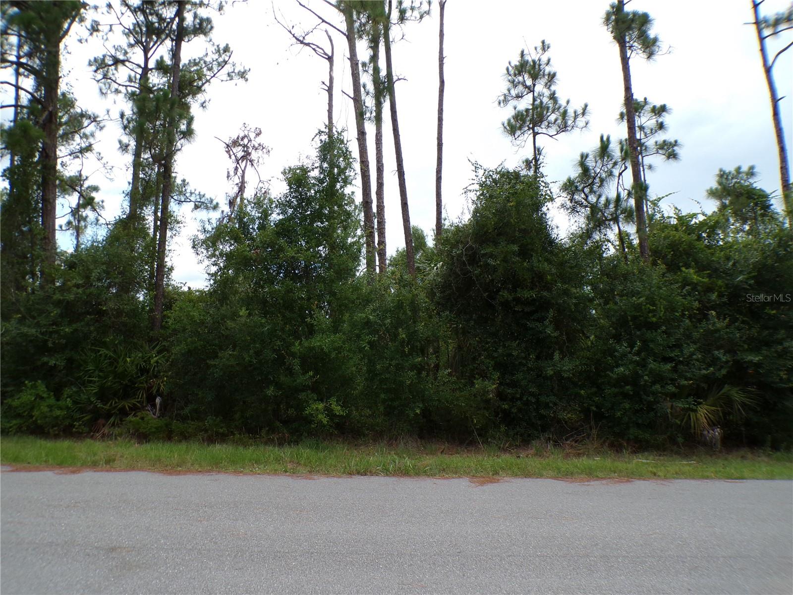 Lummus St, North Port, FL 34286