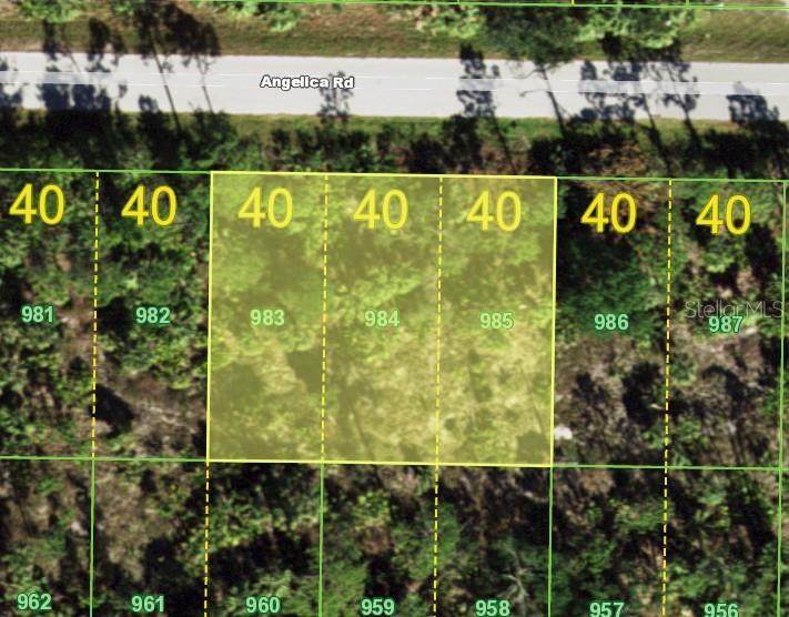 26215 Angelica Rd, Punta Gorda, FL 33955