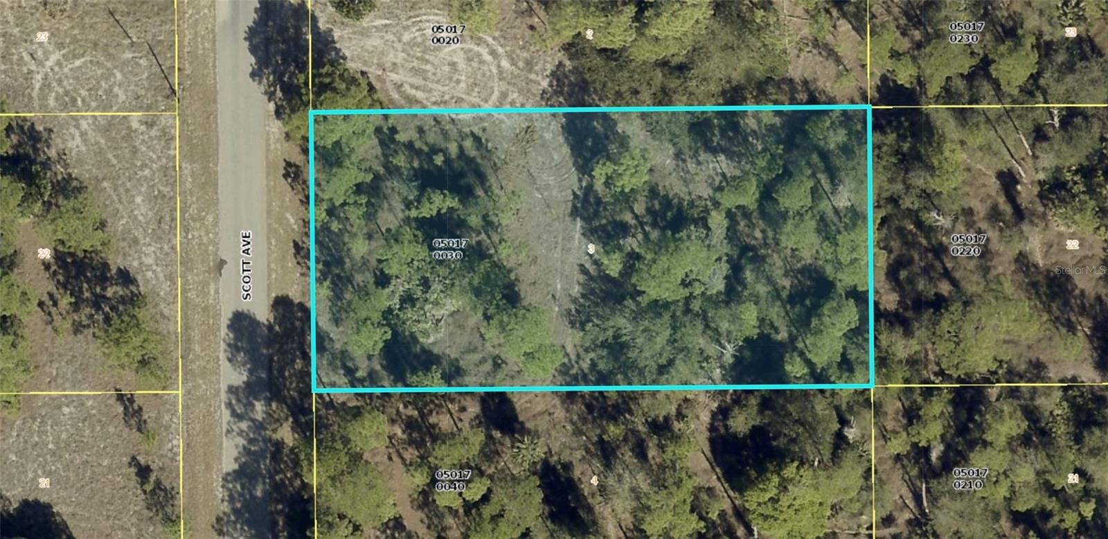 1318 Scott Ave, Lehigh Acres, FL 33972