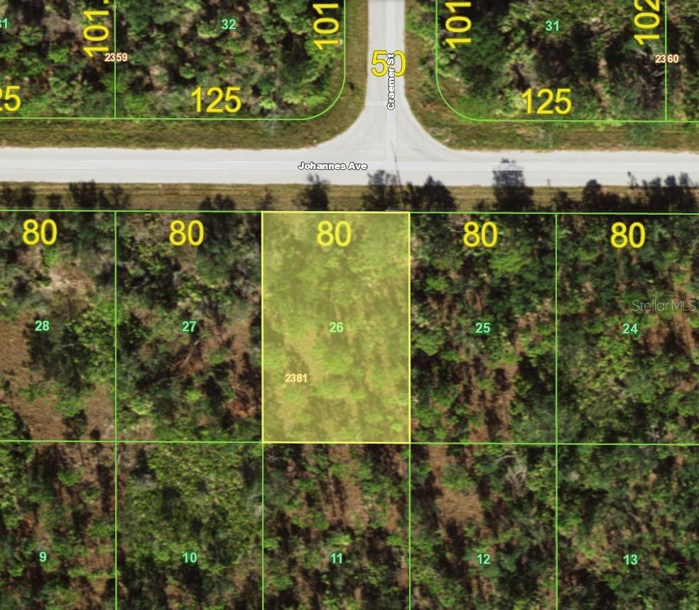 13141 Johannes Ave, Port Charlotte, FL 33953