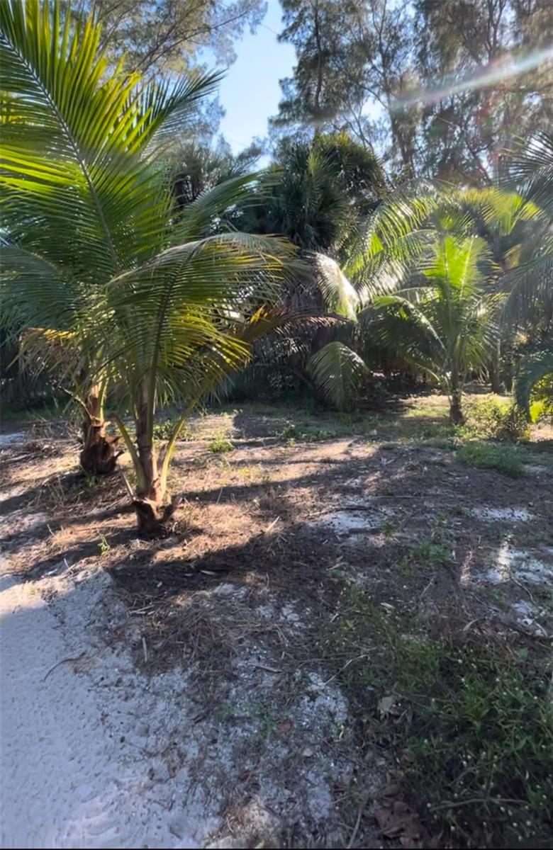8508 Little Gasparilla Island, Placida, FL 33946