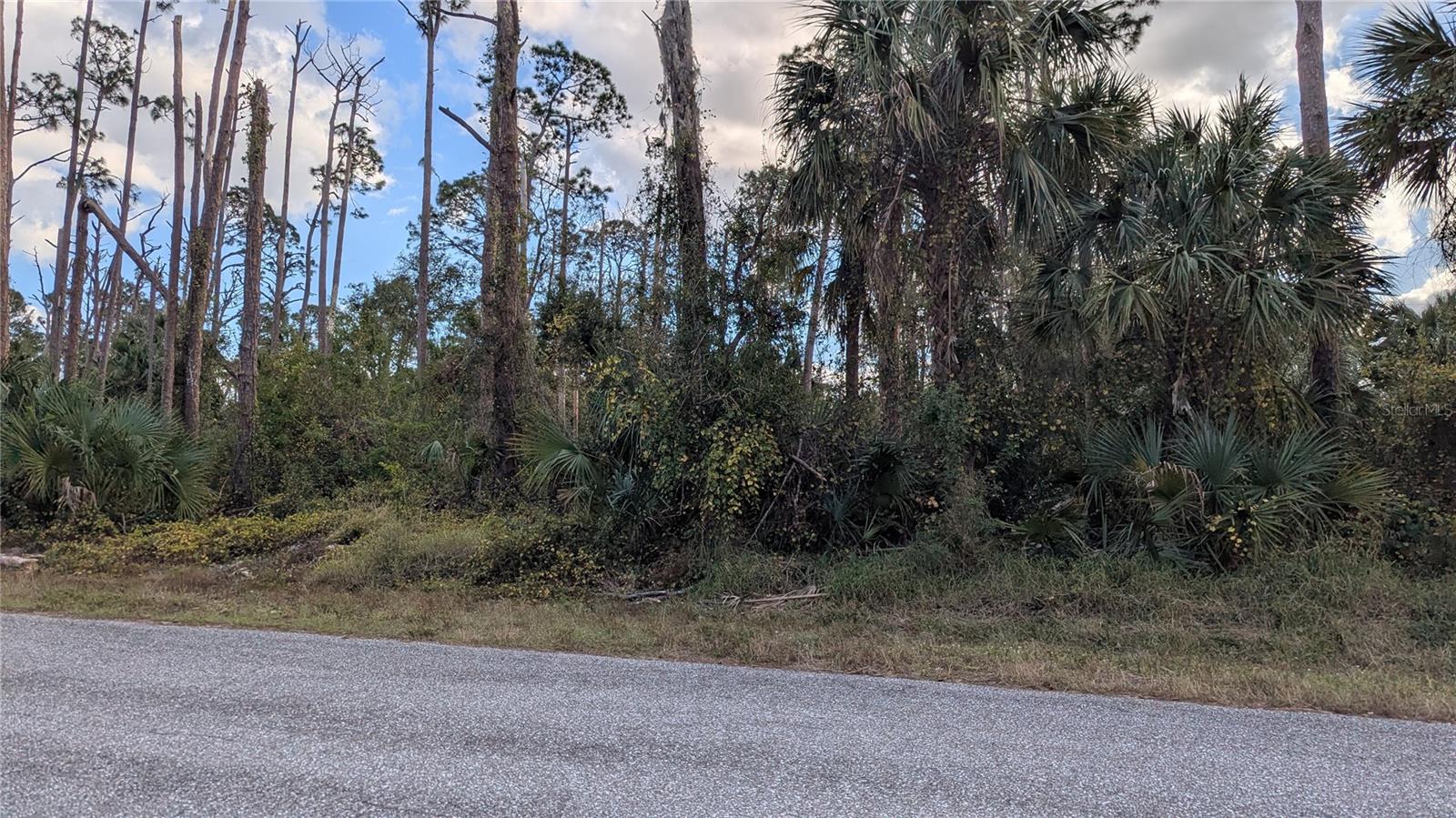 17421 Dudley Ave, Port Charlotte, FL 33954