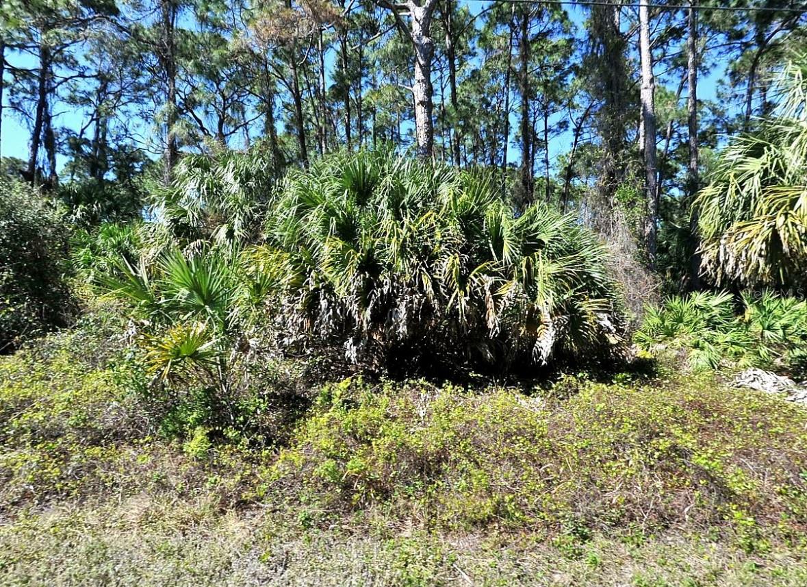 Daphne Rd, North Port, FL 34288