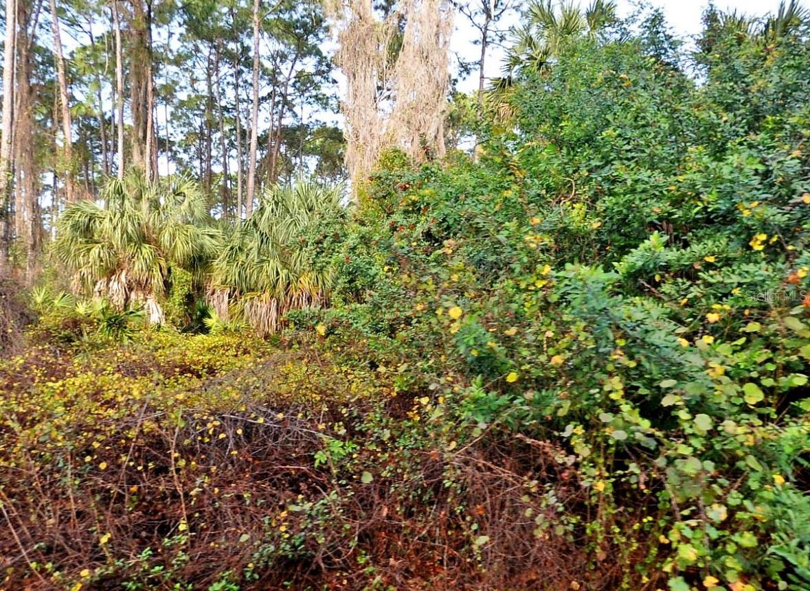 Daphne Rd, North Port, FL 34288