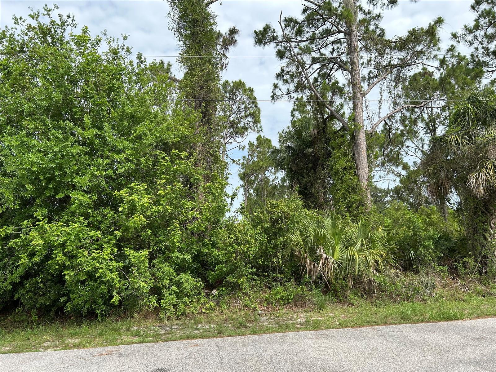 Lot 3 Zuyder Ter, North Port, FL 34286