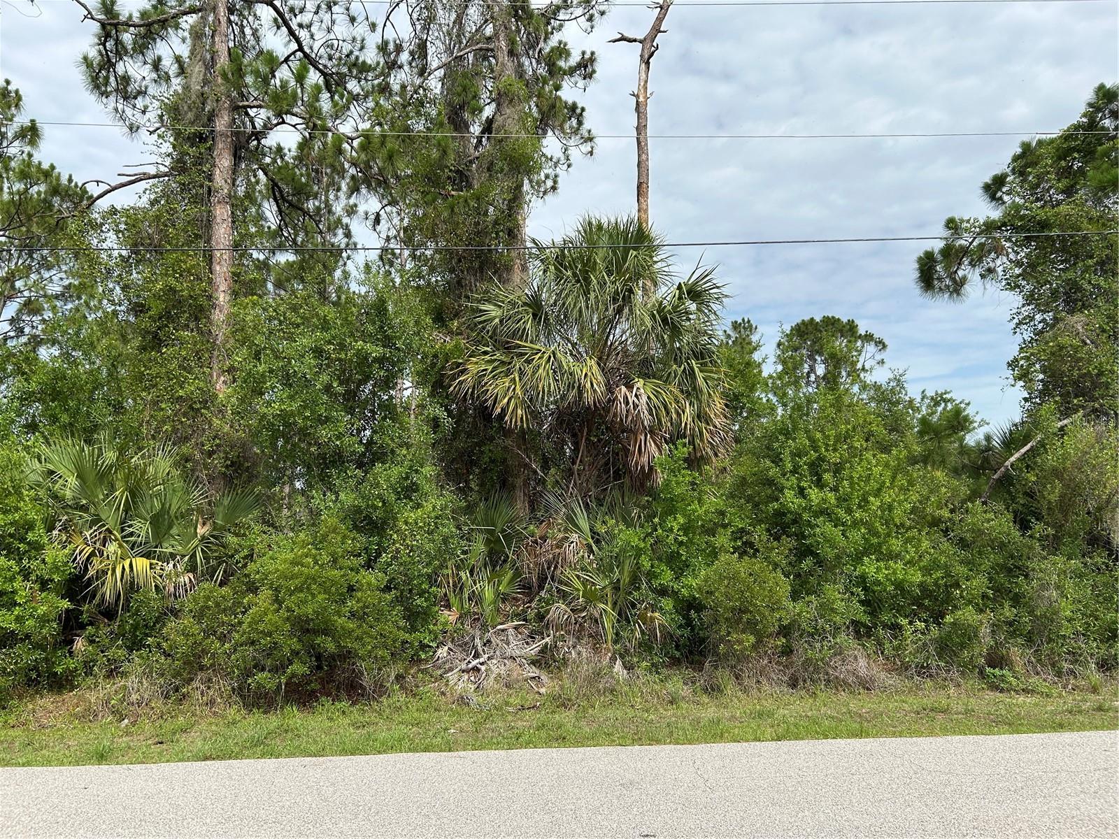 Lot 4 Zuyder Ter, North Port, FL 34286
