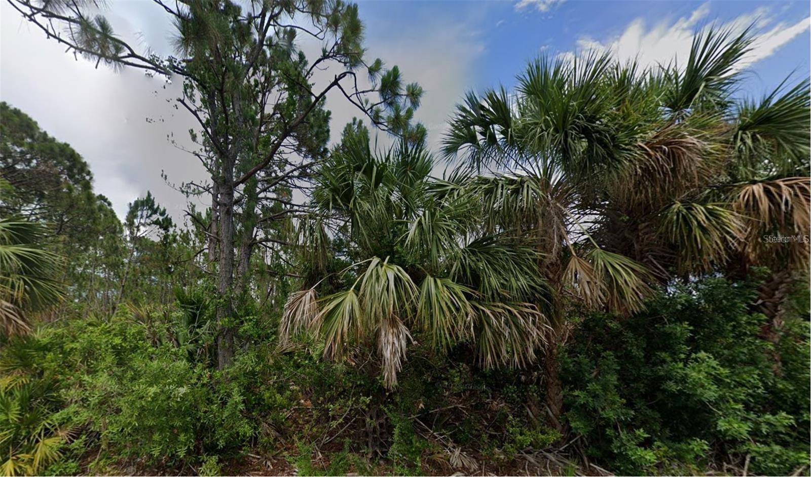 2504 Lyric St, Port Charlotte, FL 33953