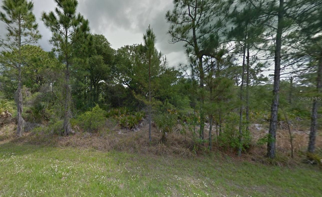 1254 Casper St, Port Charlotte, FL 33953