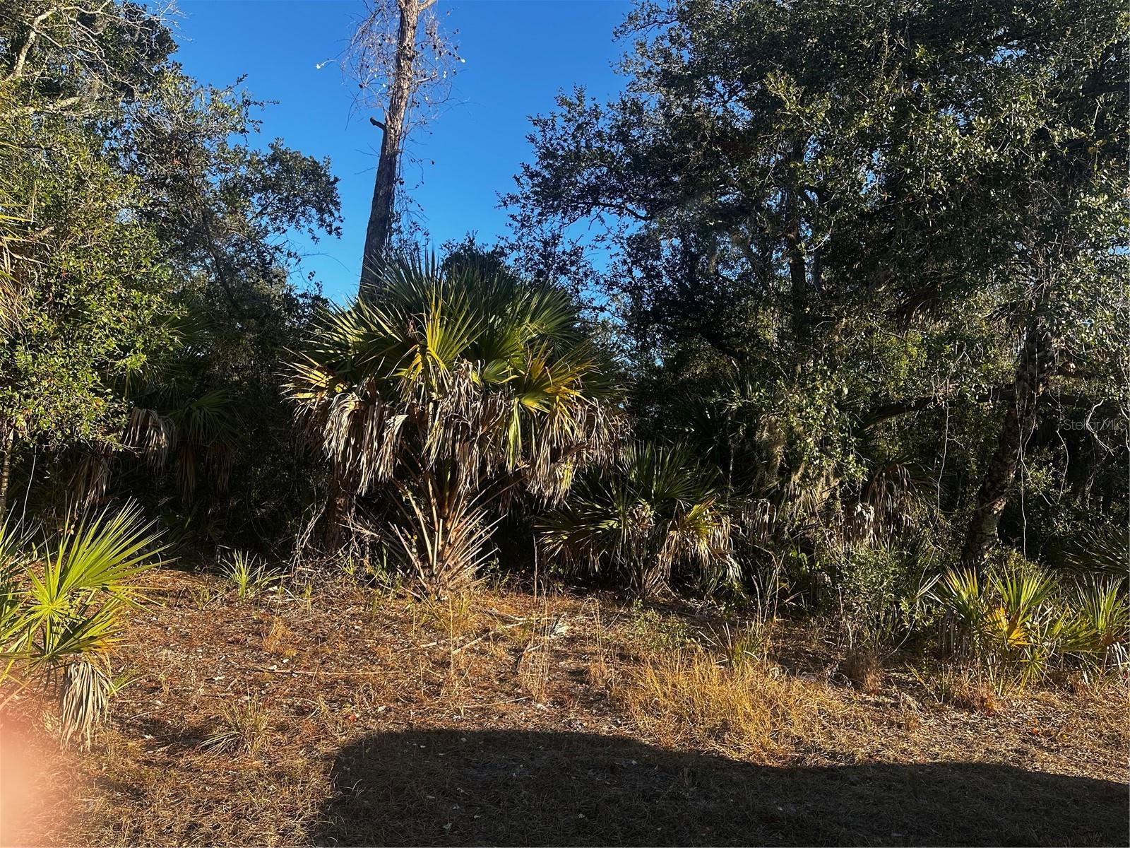 Lanai Ave, North Port, FL 34288