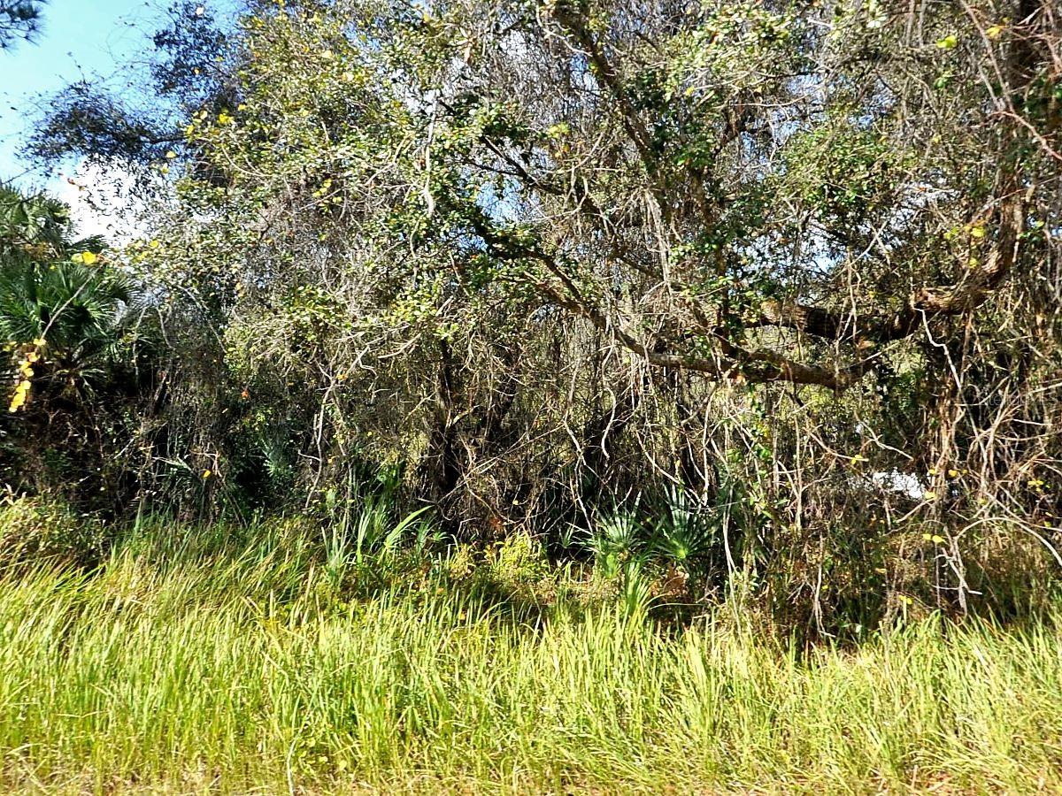 Kacher Rd, North Port, FL 34288