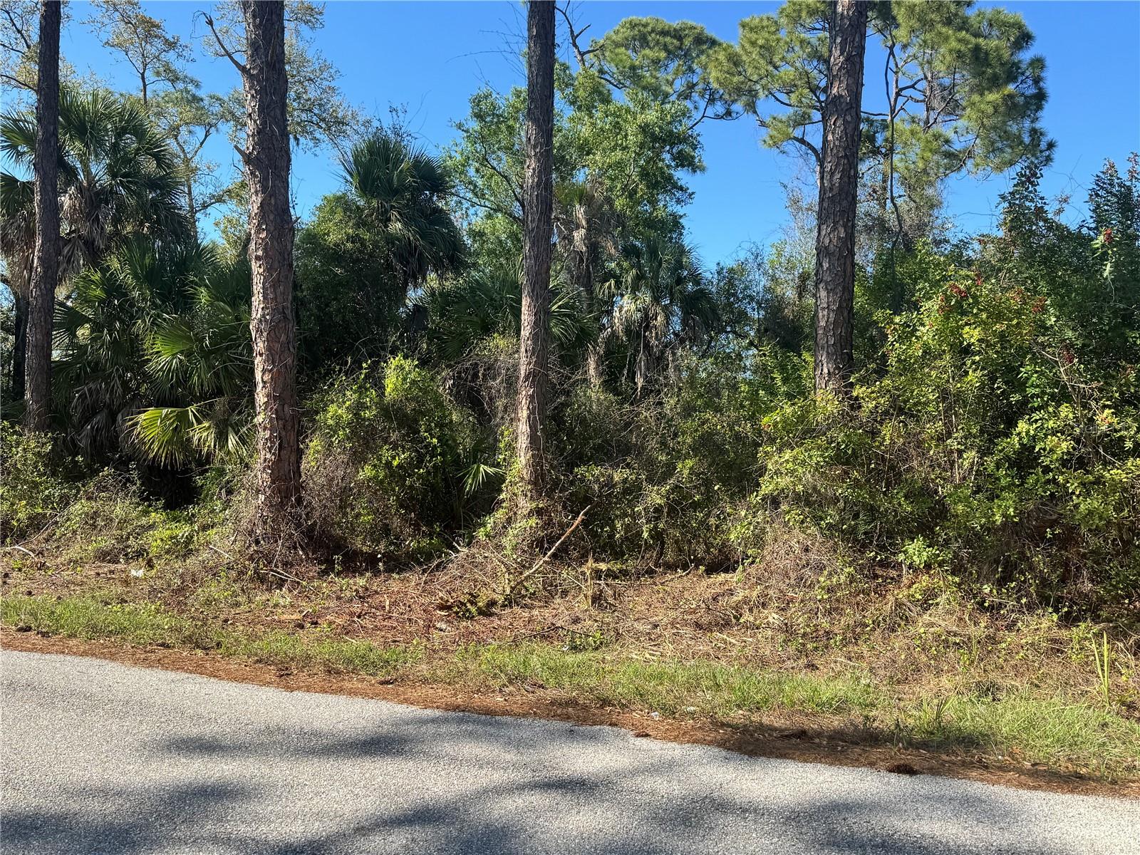 17426 Brighton Ave, Port Charlotte, FL 33954