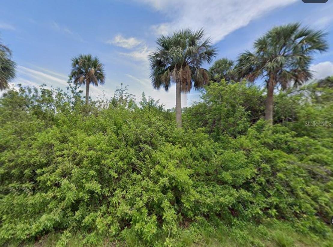 14529 Mcmillin Ave, Port Charlotte, FL 33953