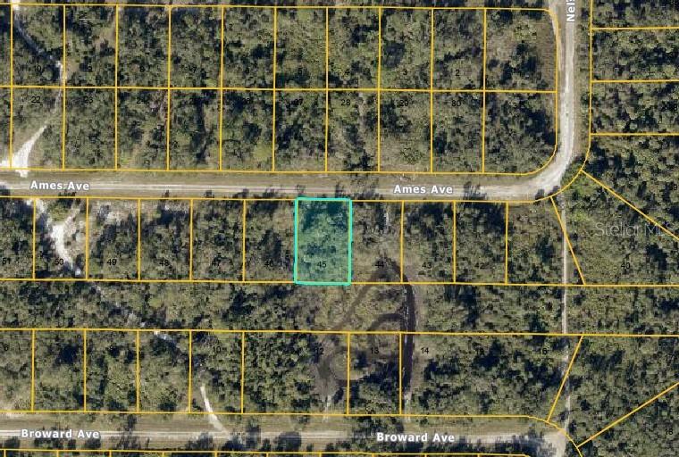 Lot #45 Ames Ave, North Port, FL 34291