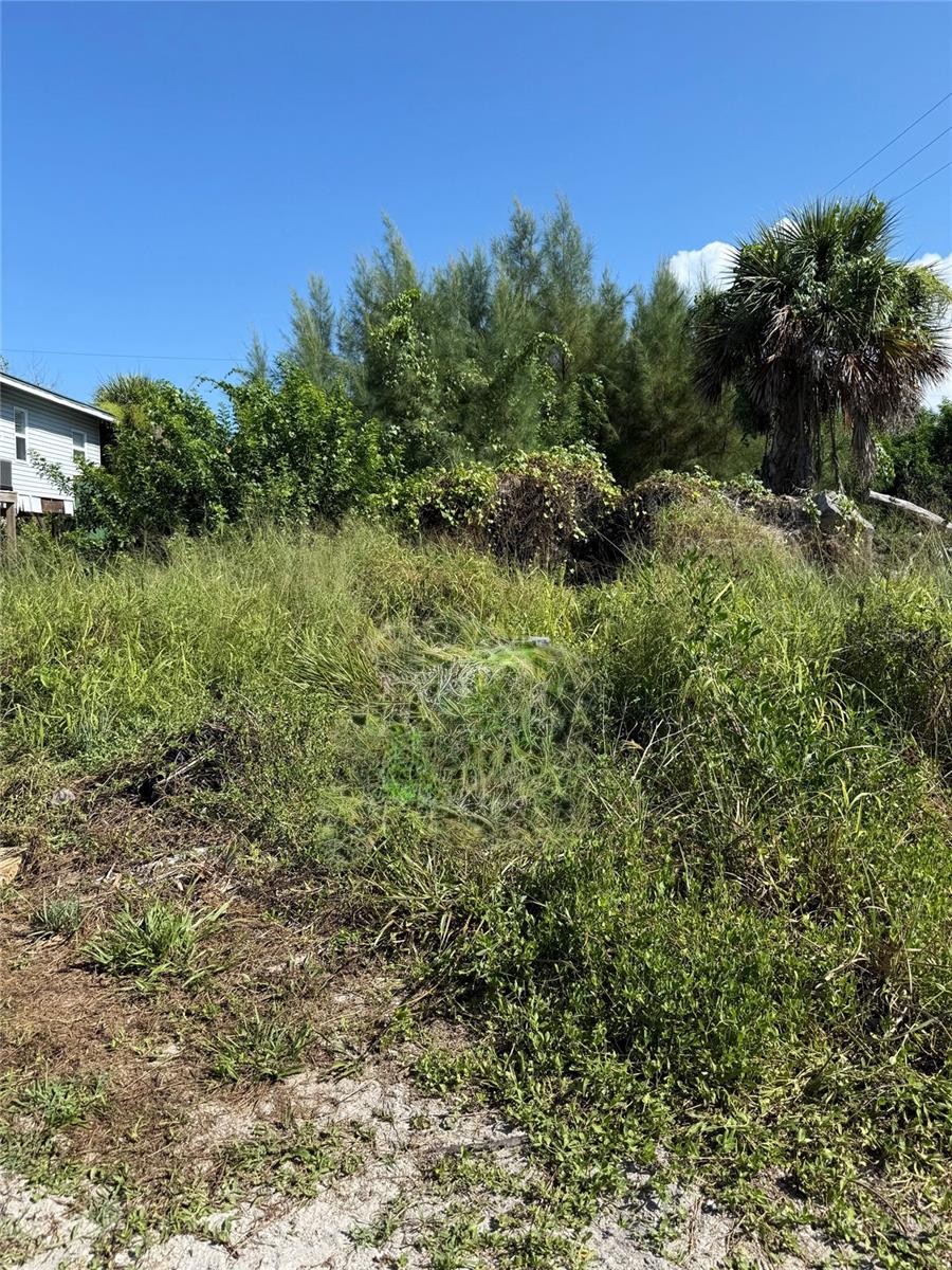 8990 Seagrape Ln, Placida, FL 33946
