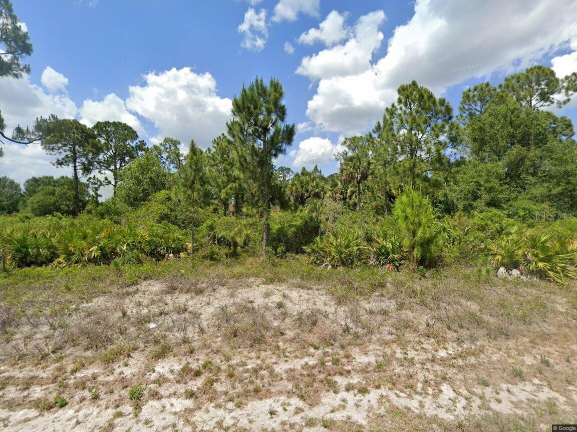 733 Palmer St E, Lehigh Acres, FL 33974