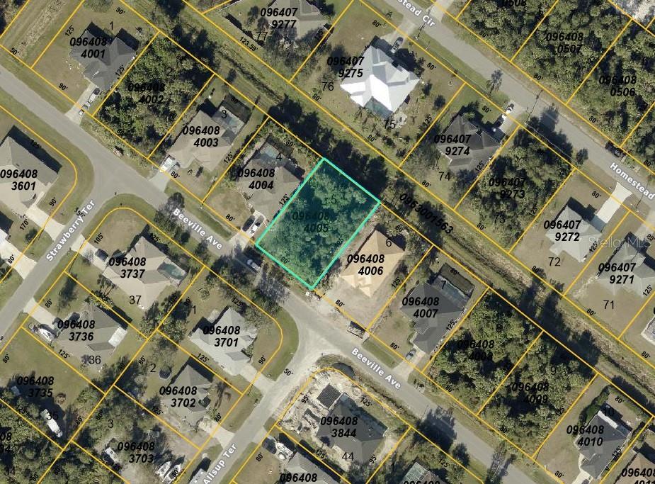 Lot 5 Block 840 Beeville Ave, North Port, FL 34286