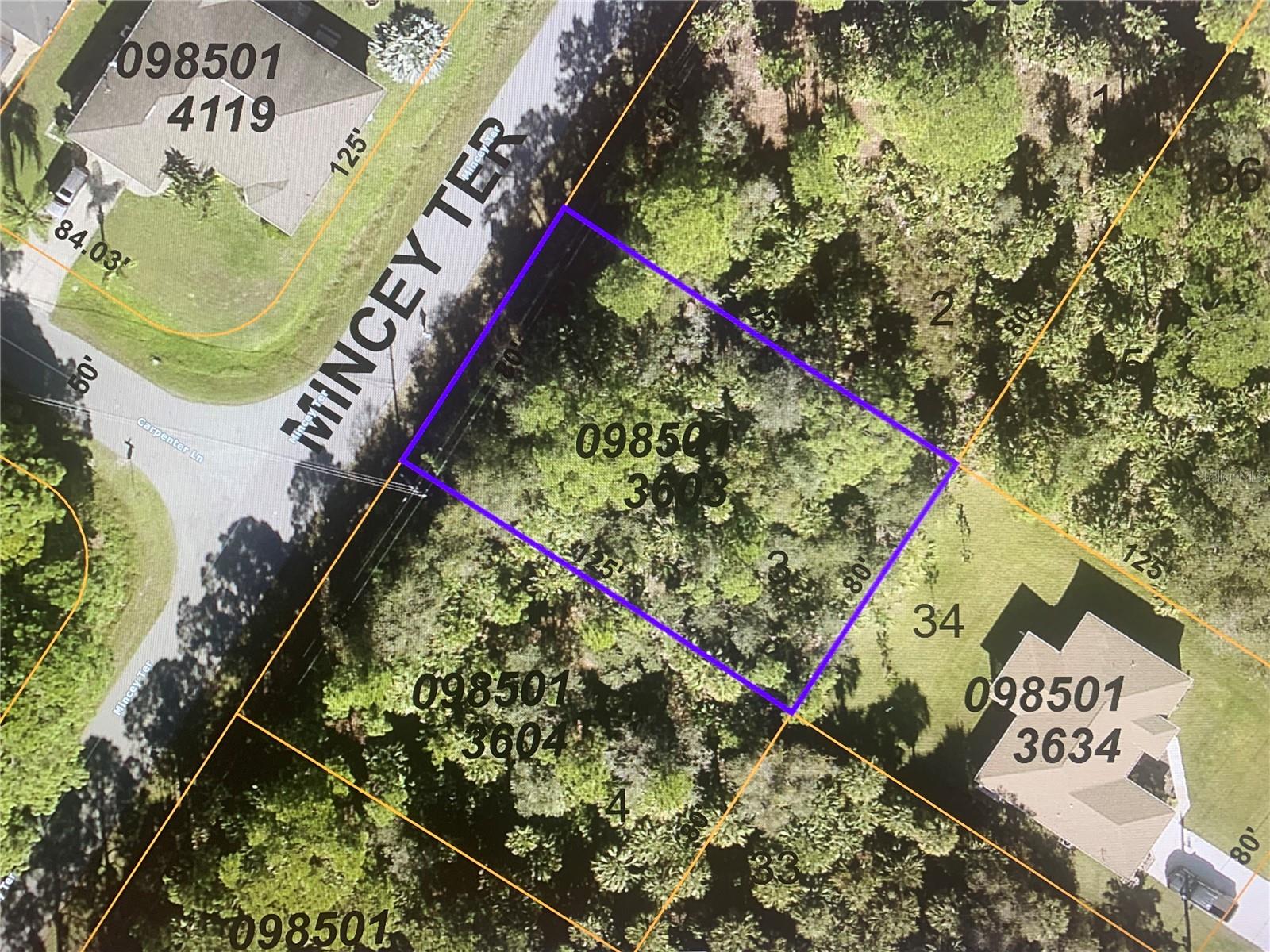 Lot 3 Mincey Ter, North Port, FL 34286