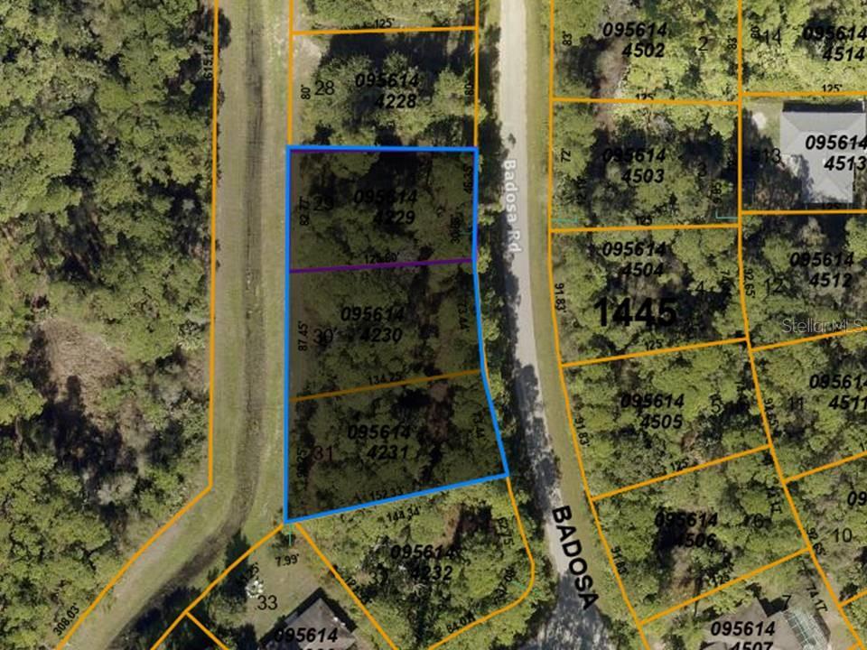 Lots 29, 30 & 31 Badosa Rd, North Port, FL 34286