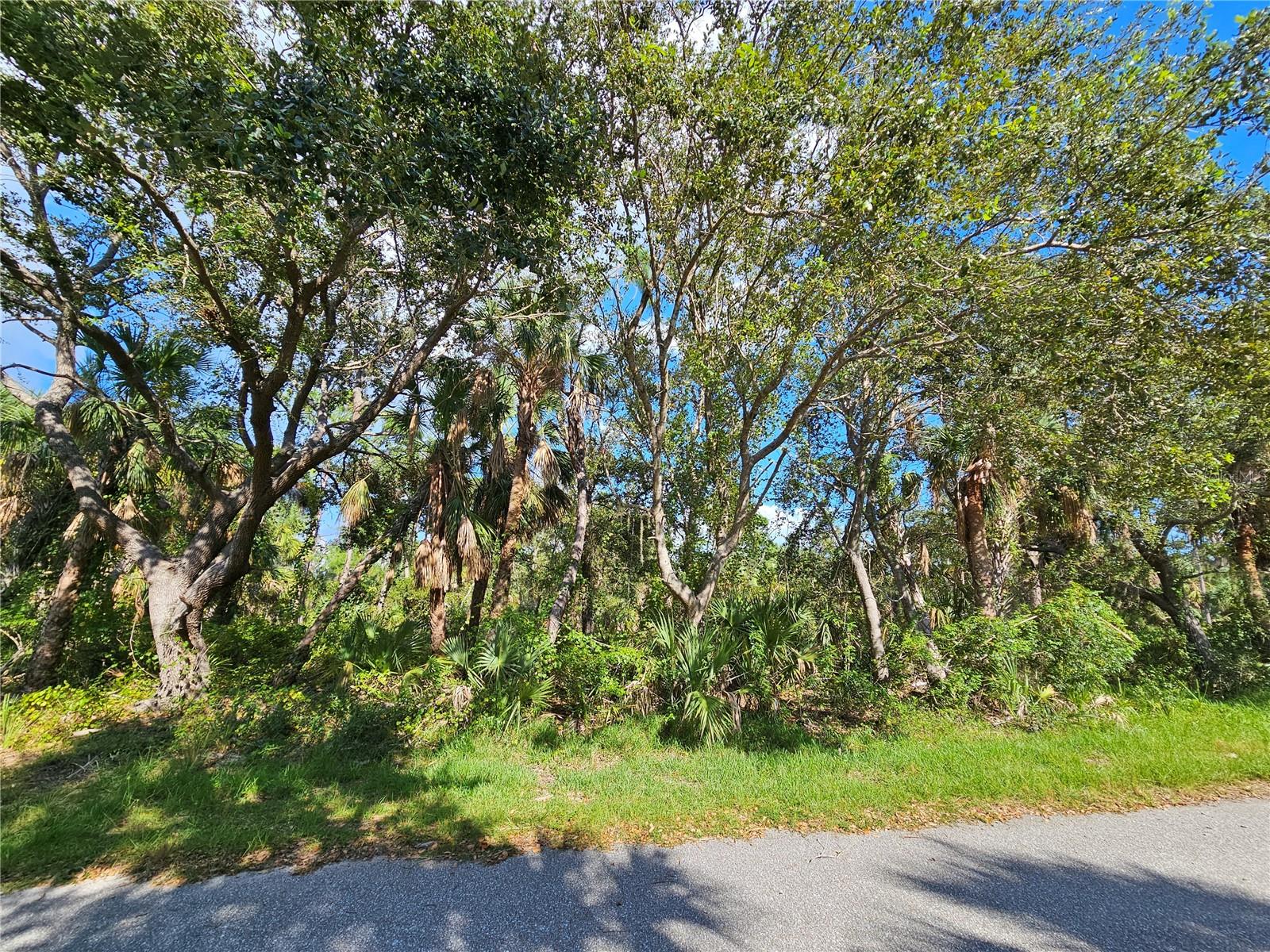3286 Century St, Port Charlotte, FL 33948