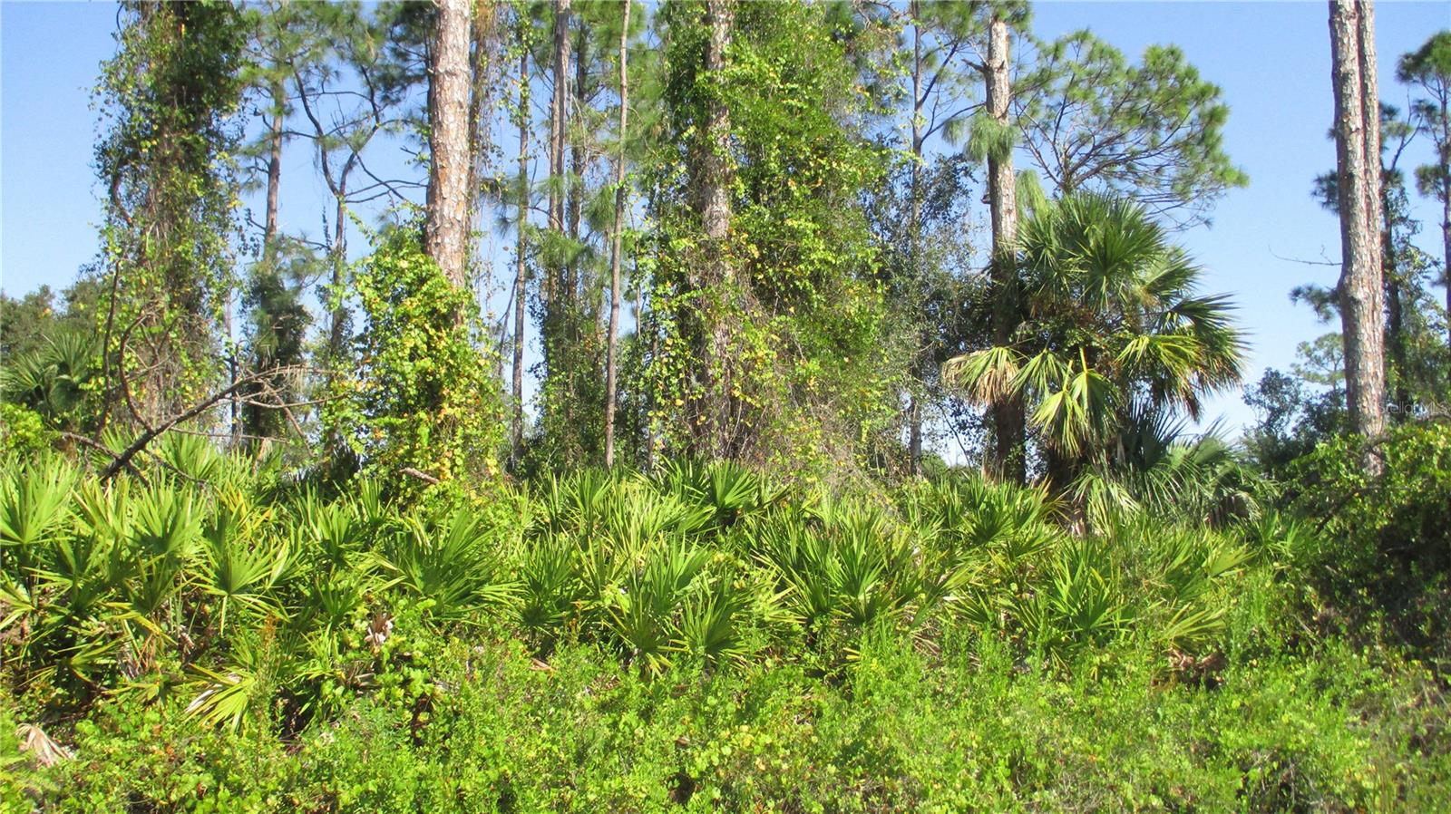 Ginsburg Ter, North Port, FL 34287
