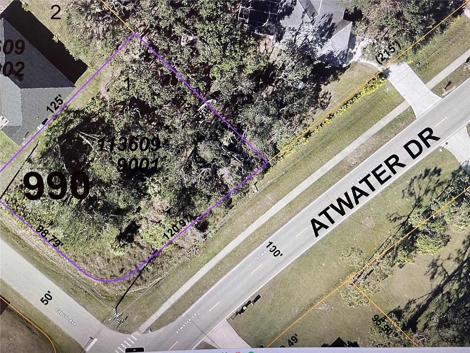 Lot 1 Caputo Ave, North Port, FL 34288