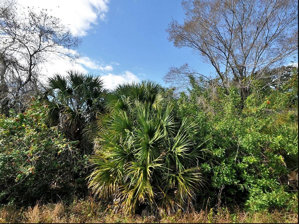 Grenard Cir, North Port, FL 34288