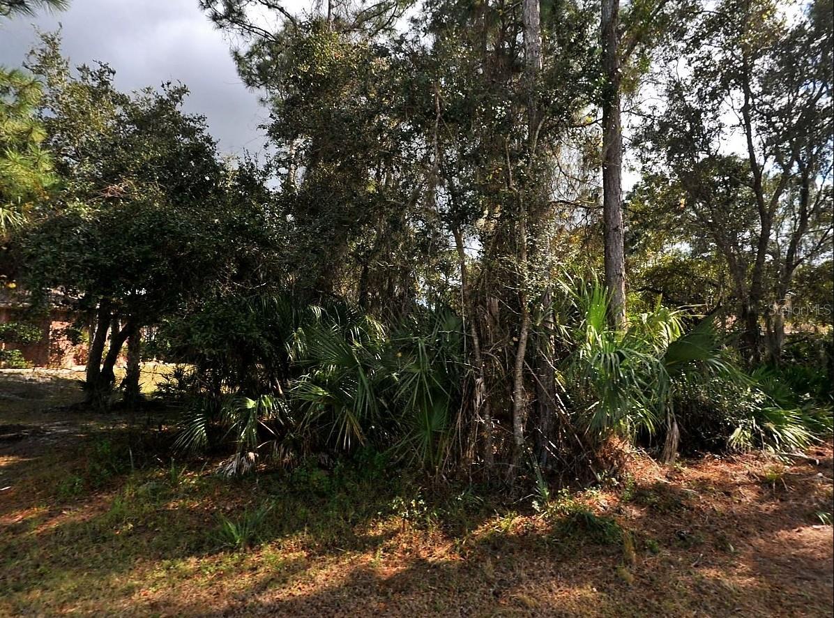 Westberry Ter, North Port, FL 34286
