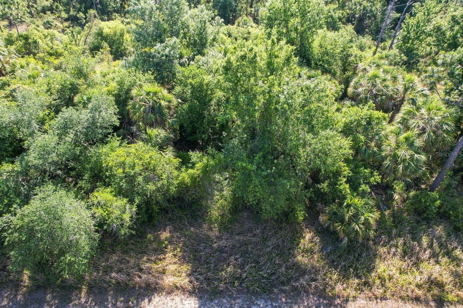 Hamerton Rd, North Port, FL 34288