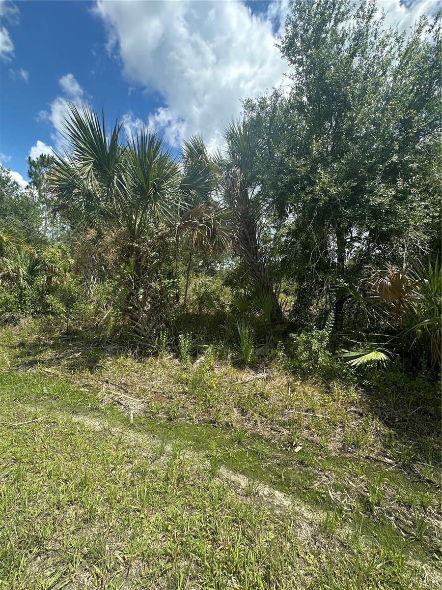 Rentscher Ave, North Port, FL 34291