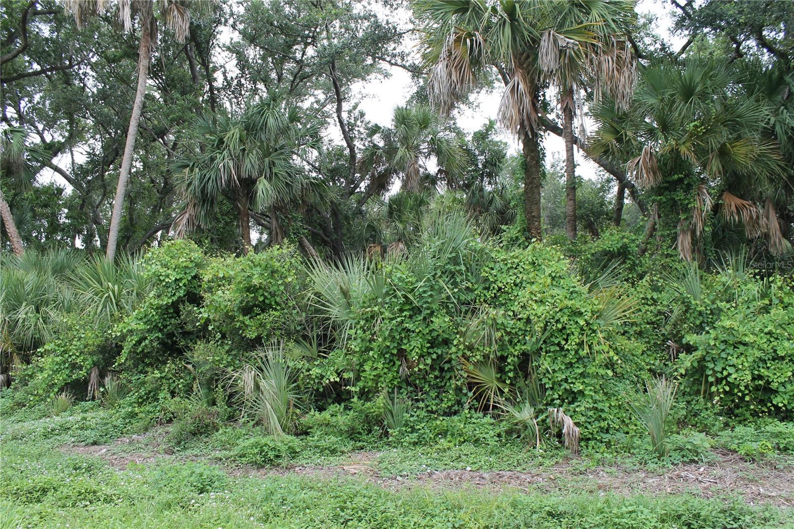 18106 Sinatra Ave, Port Charlotte, FL 33954
