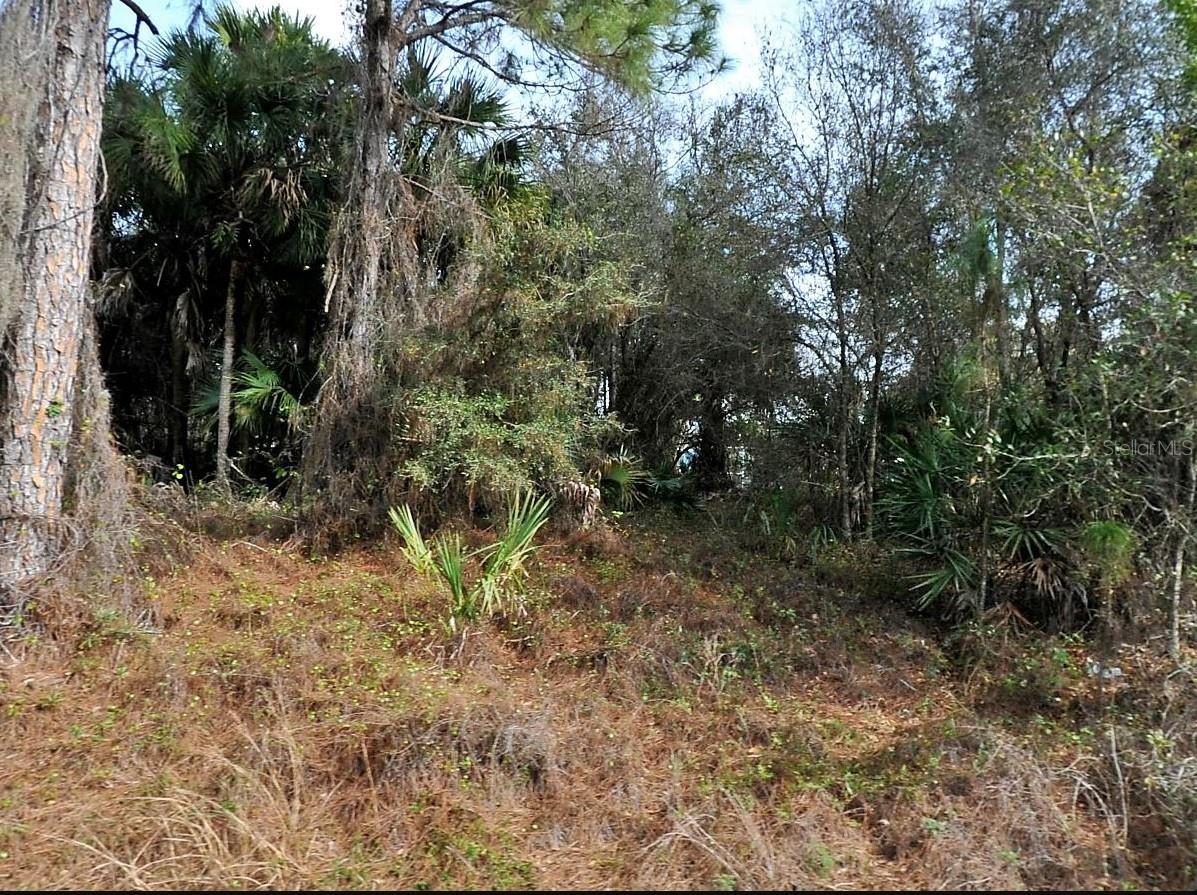 Gilbert St, North Port, FL 34288