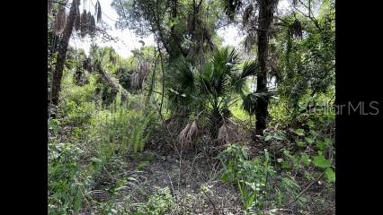 Alpen Ave, North Port, FL 34291