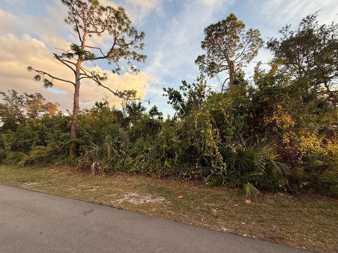 Jupiter Rd, Venice, FL 34293