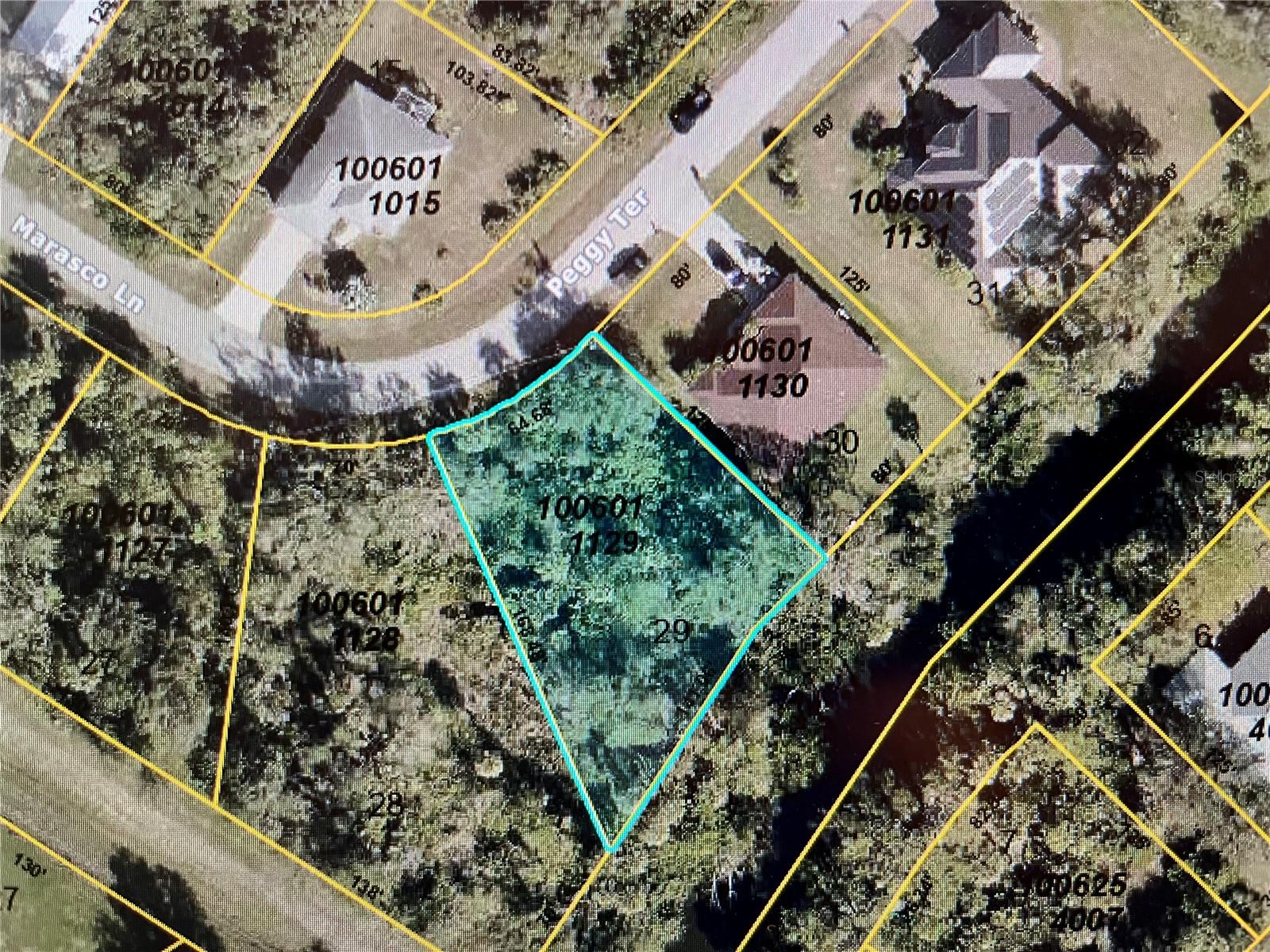 Lot 29 Peggy Ter, North Port, FL 34286
