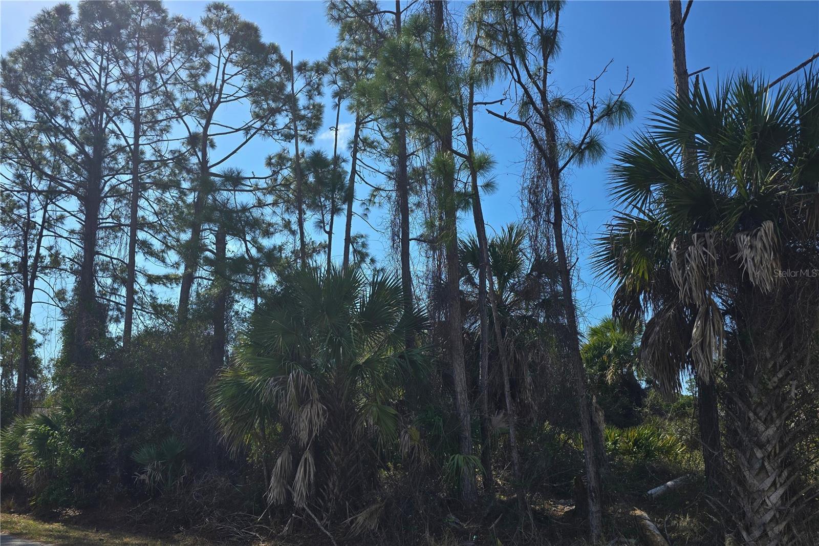 Lot 29 / Block 254 Allegheny Ln, North Port, FL 34286