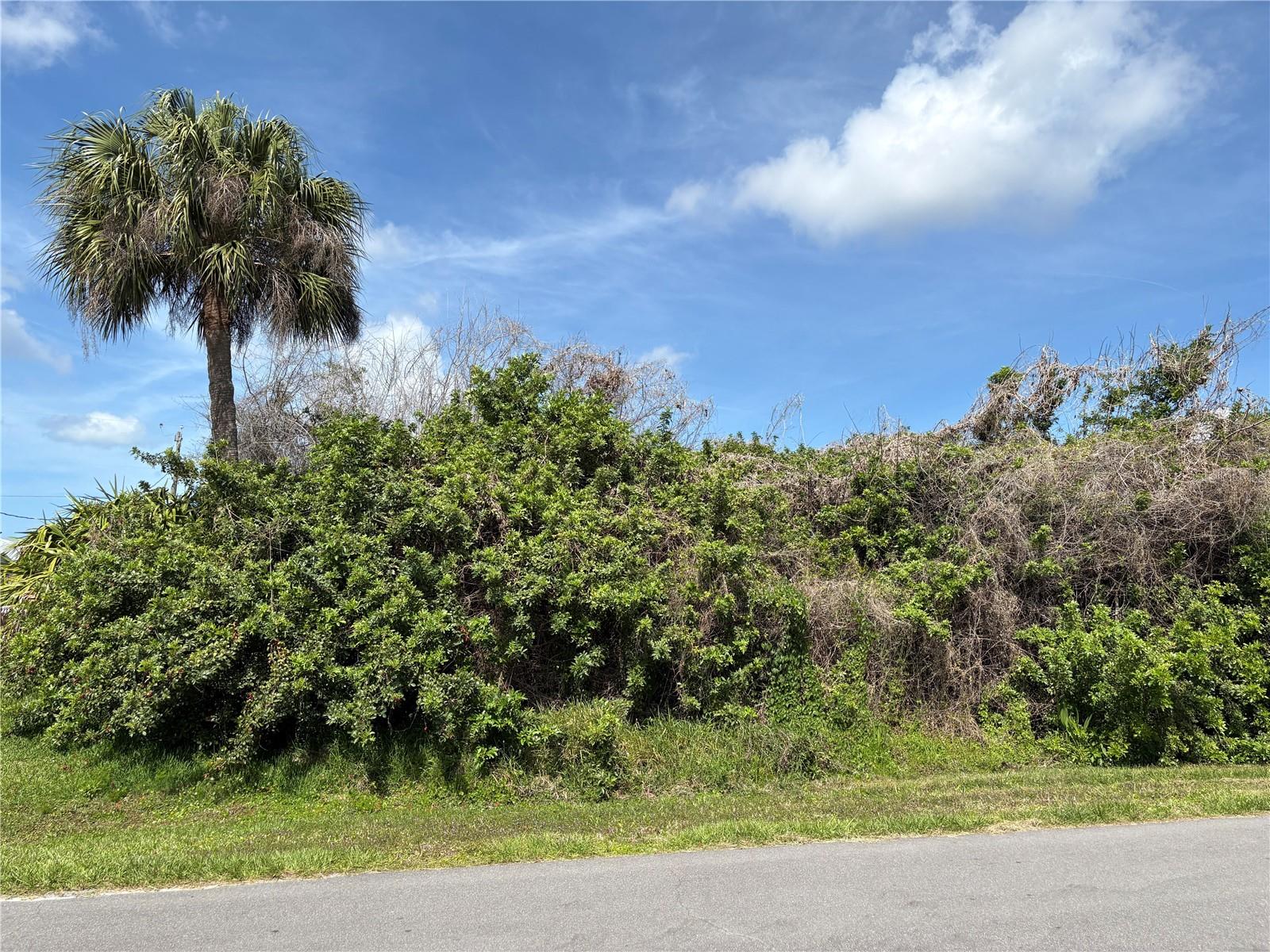 6159 Avila St, Englewood, FL 34224