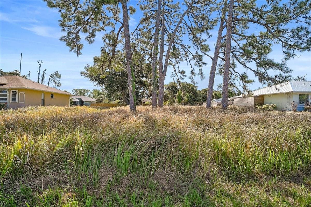 Sabrina Ter, North Port, FL 34286