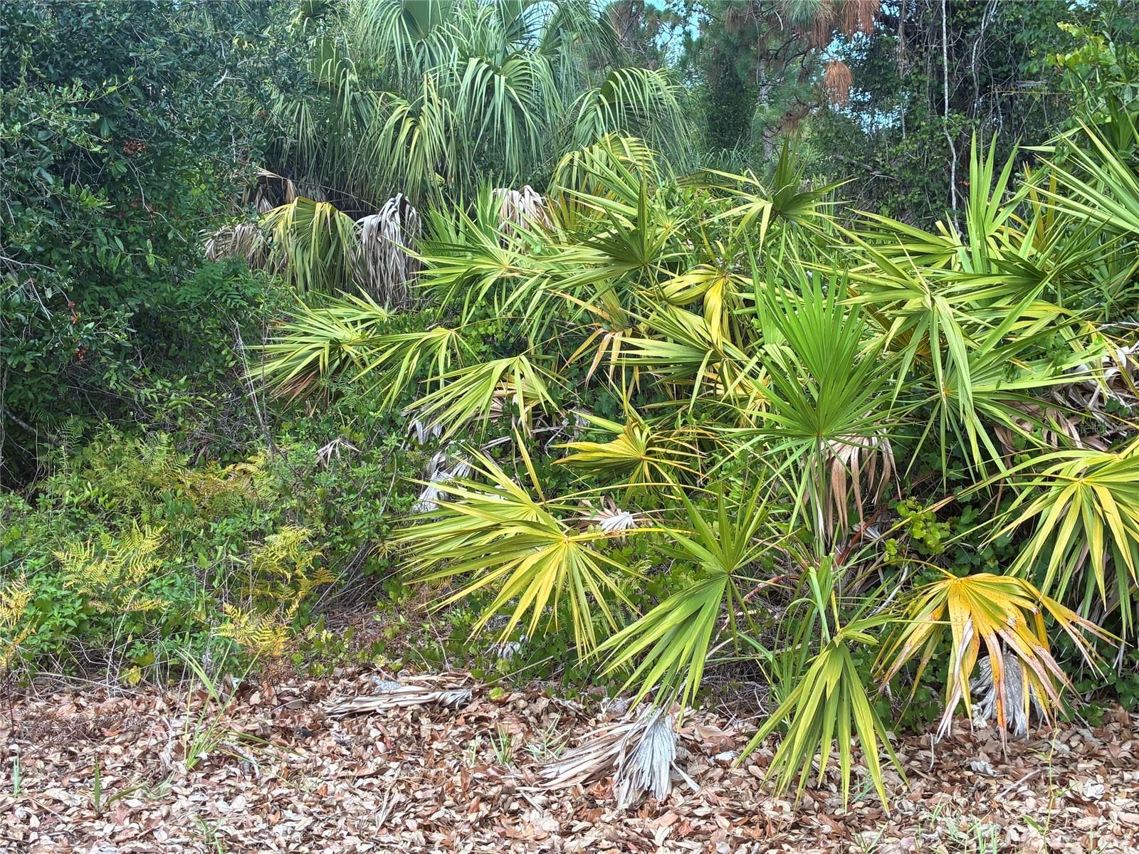 Mendavia Ter, North Port, FL 34286