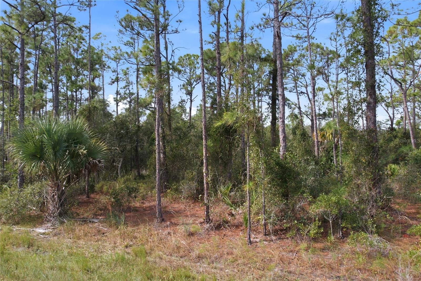 Einstein St, North Port, FL 34291