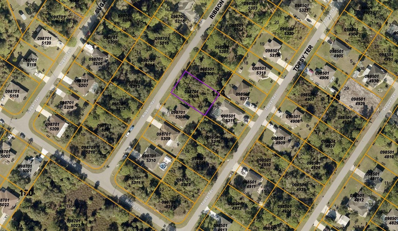 Ribbon Ter, North Port, FL 34286