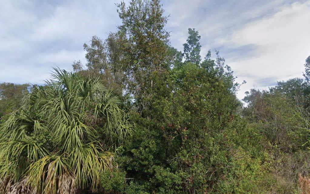 201 N Yellowtail Ln, Punta Gorda, FL 33982