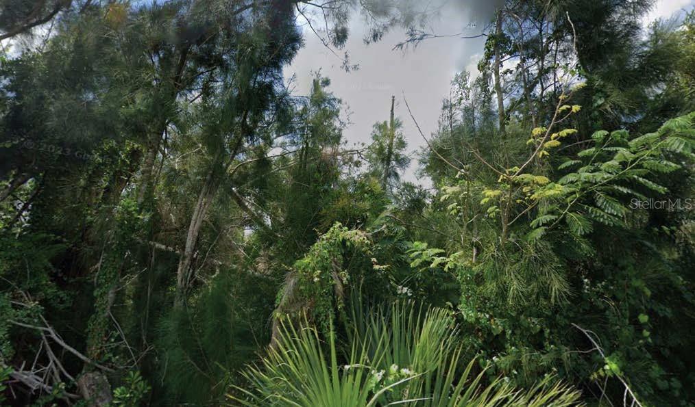 30353 Holly Rd, Punta Gorda, FL 33982