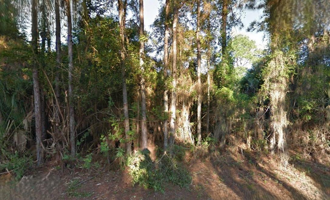 Lutz Rd, North Port, FL 34286
