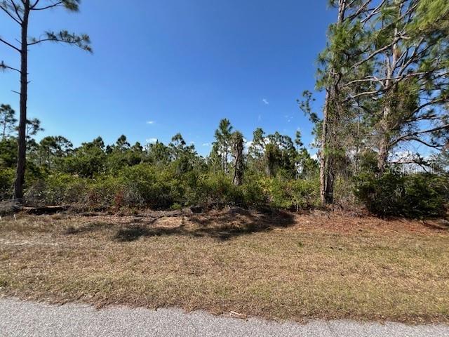 12108 Benham Ave, Port Charlotte, FL 33981