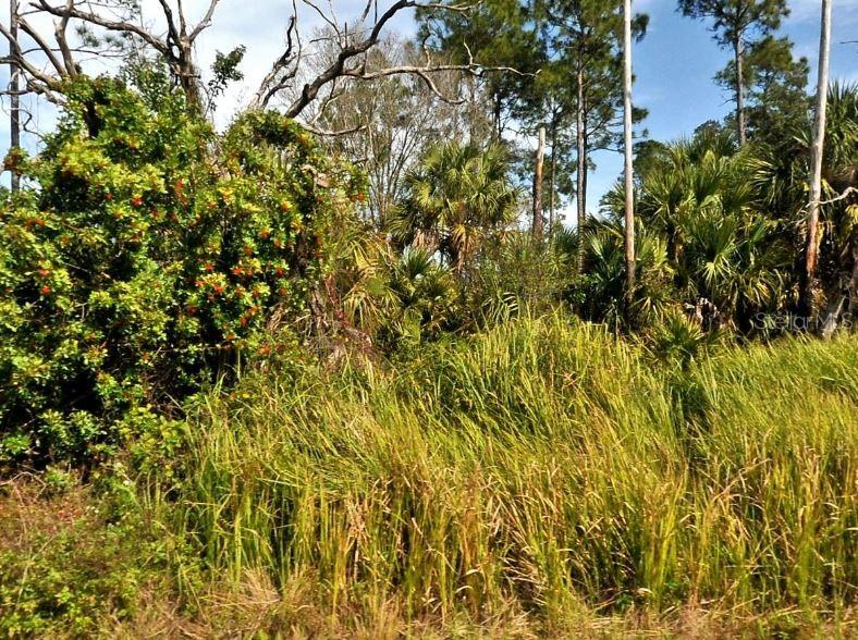 Firebird Rd, North Port, FL 34288